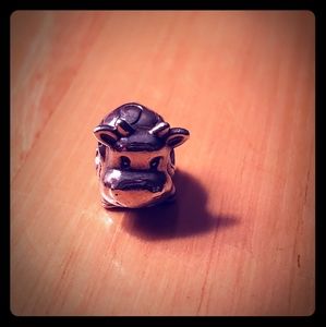 Pandora charm
